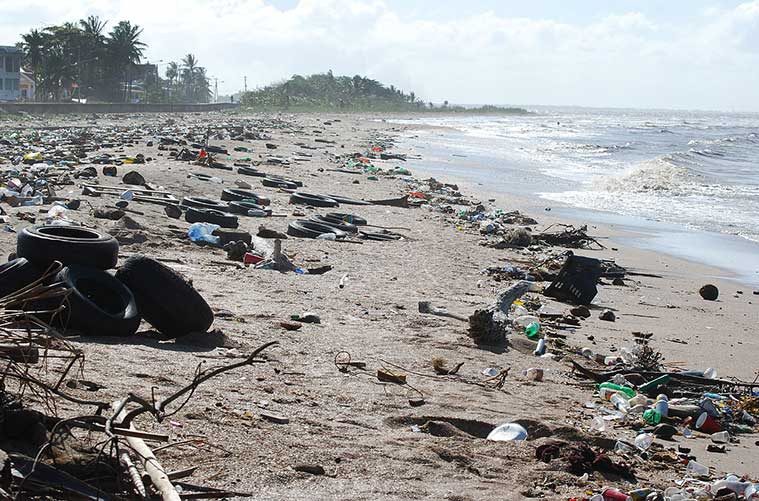 El Problema Del Pl Stico En El Medio Ambiente Desde La D Cada De Los