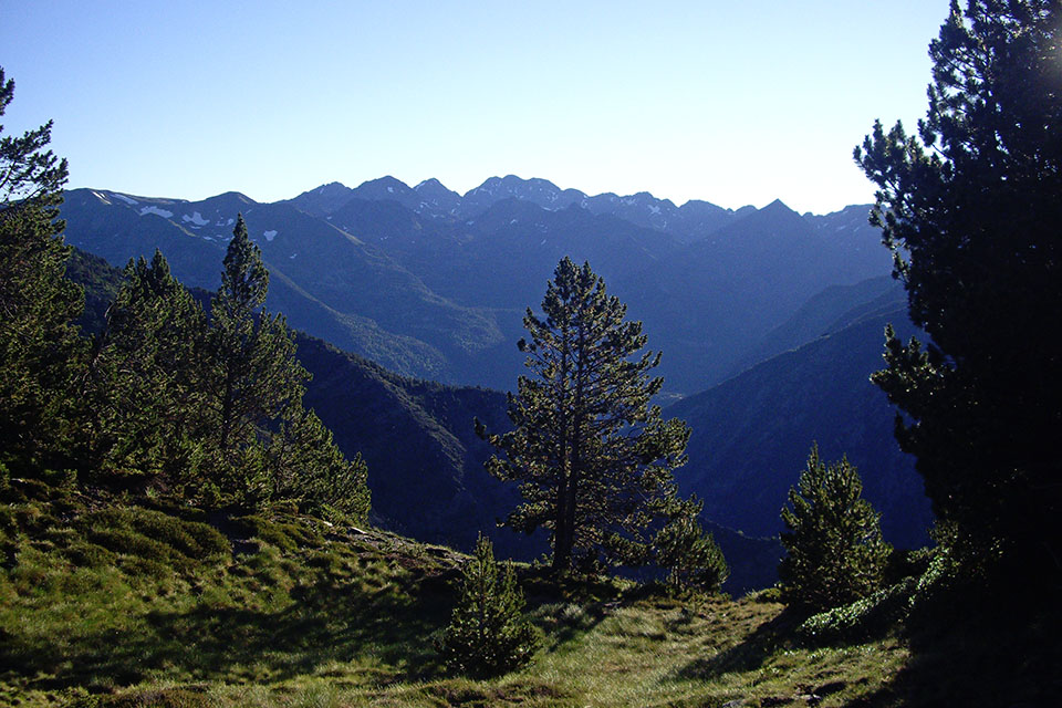 Alt Pirineu