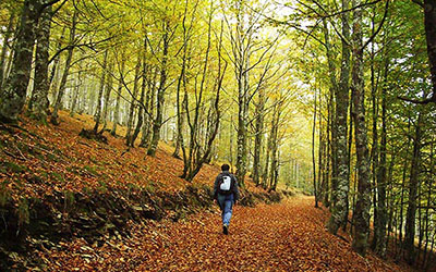 Pirineo Occidental: del Cabo de Higuer a Zuriza