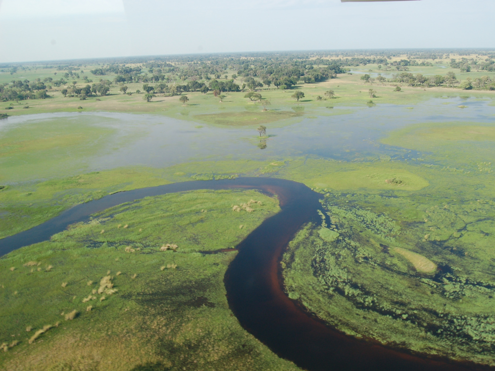 Delta del Okavango, Botswana / Foto: Joachim Huber [CC BY-SA 2.0] Wikimedia Commons