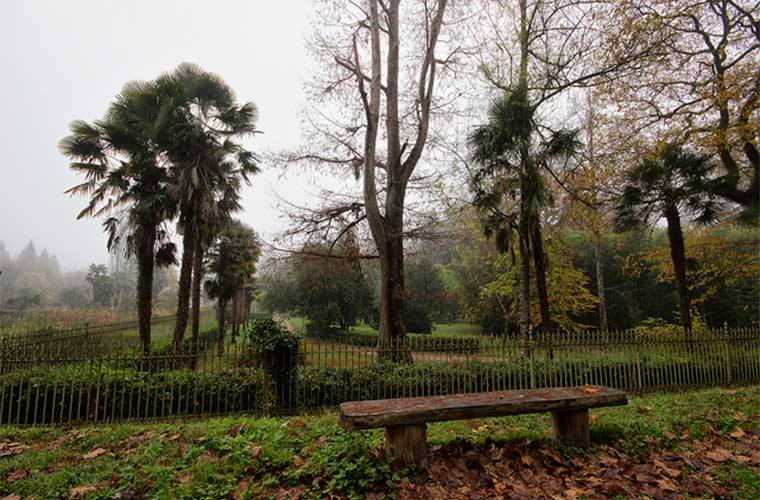 Parque Natural del Señorío de Bértiz / Foto: Chuselborde (vía Wikimedia commons)
