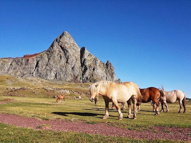 Fotografía montaña Pirineos by @salvaalario