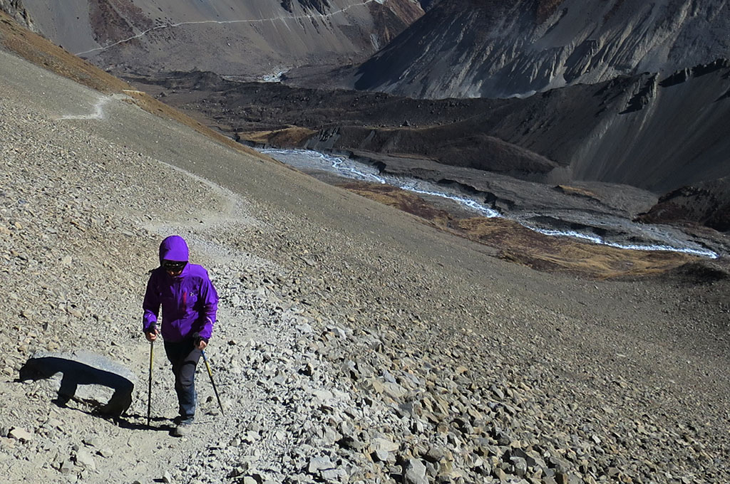 Cómo elegir los mejores bastones de trekking / Foto: Andrea Gugliada