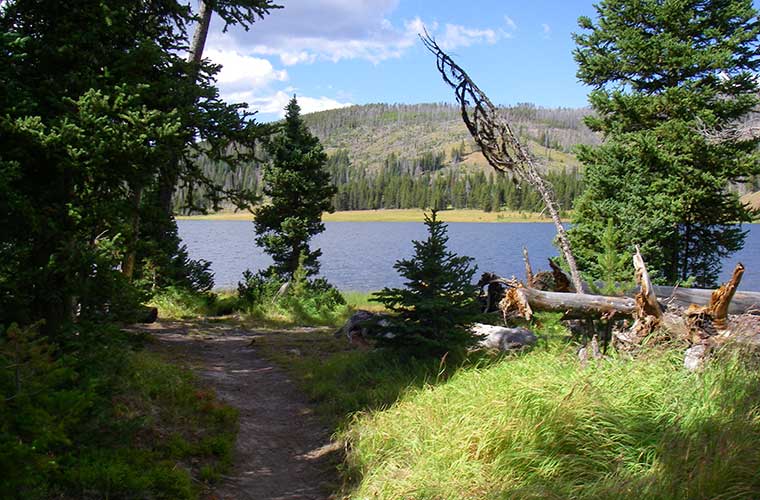 Grebe Lake Trail / Foto: Tim Angeli (Wikimedia Commons)