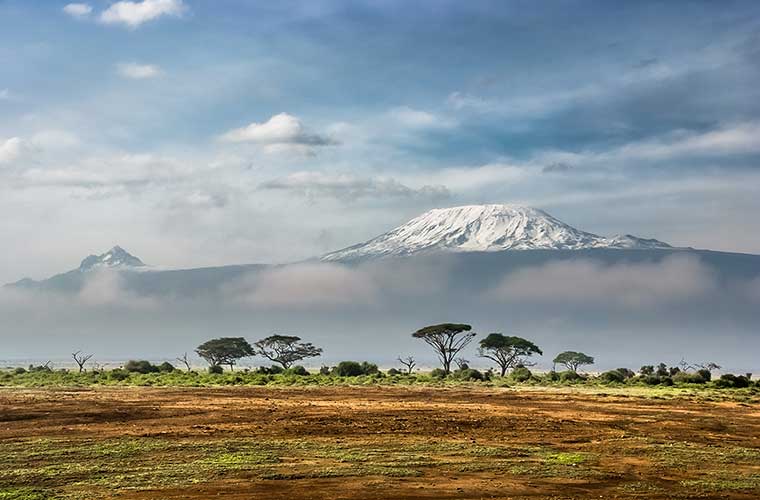 Vista del Kilimanjaro desde el Parque Nacional de Amboseli, Kenia / Foto: Sergey Pesterev  (Wikimedia Commons)