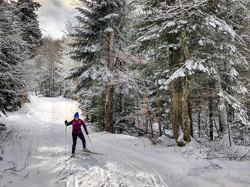 Reunir maduro suéter → Preparación física para el esquí de fondo
