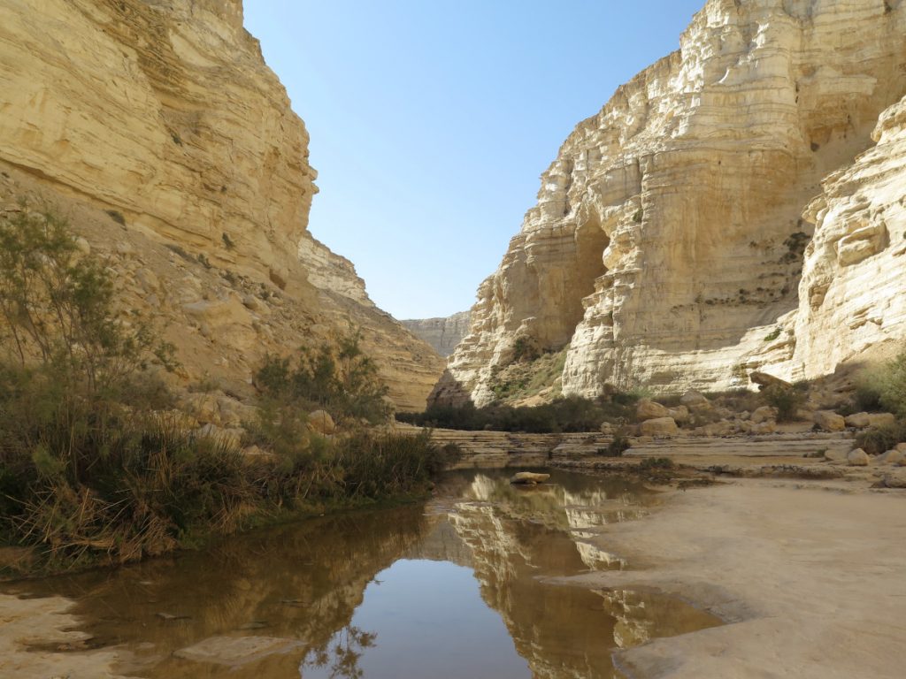 Interior del wadi en Ein Avdat. EDUARDO AZCONA