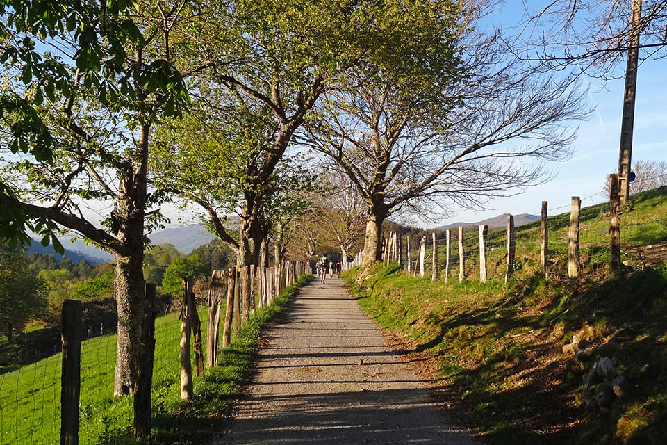 Camino del caserío de Cardelsoro