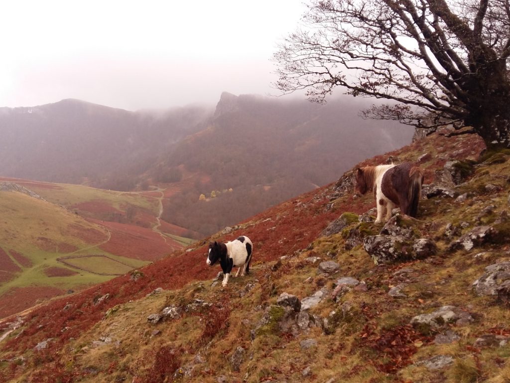 Trekking Baztan-Bidasoa / Foto: Eduardo Azcona
