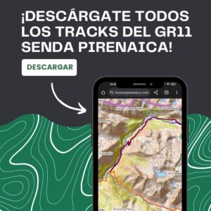gr 11 tracks etapas