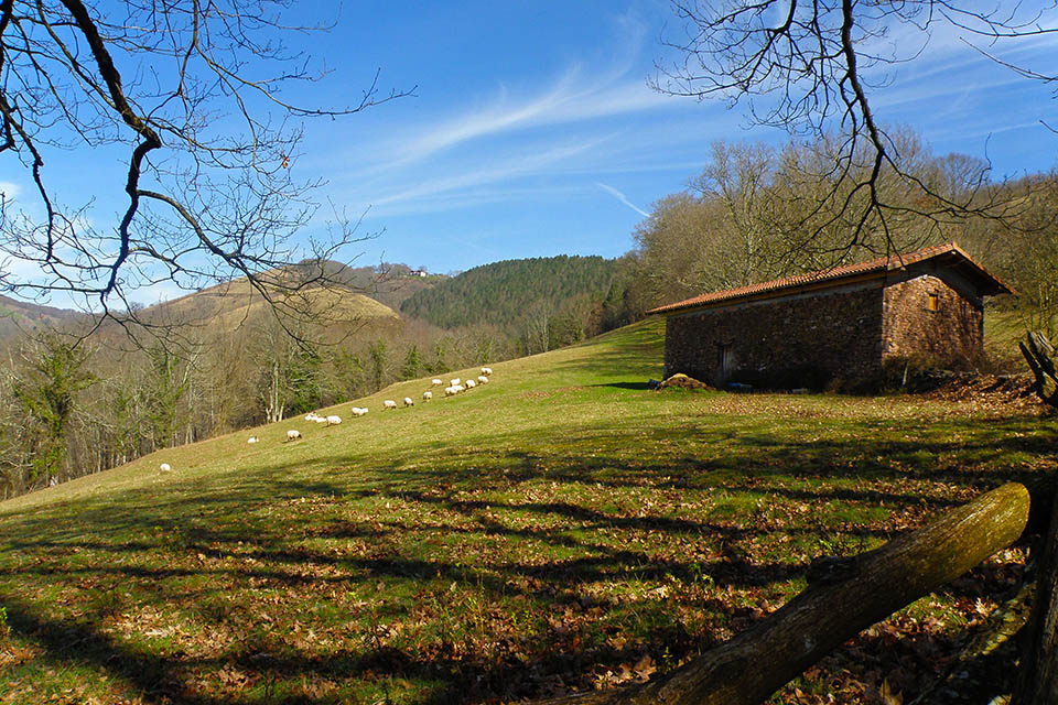 Borda de pastores